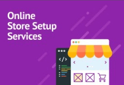 Online Store Setup